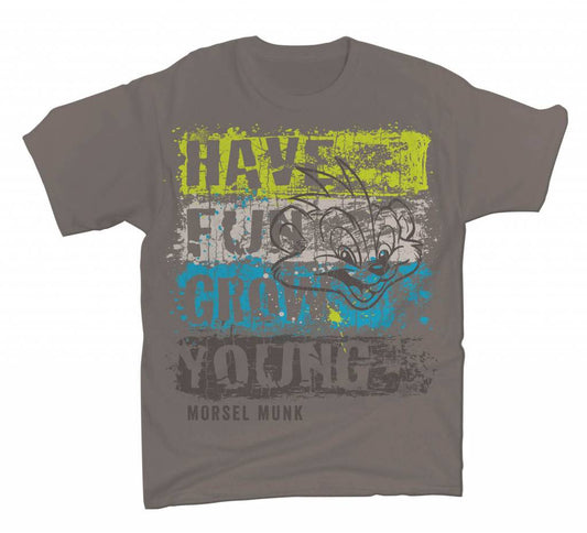 Have Fun Grow Young distressed stripe grey t-shirt